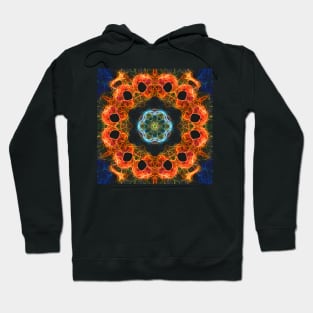 Abstract fiery barnacles Hoodie